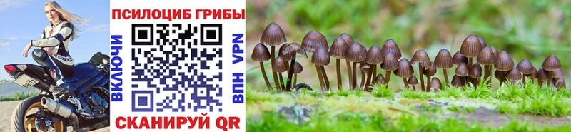 магазин продажи Ноябрьск Галлюциногенные грибы Psilocybe