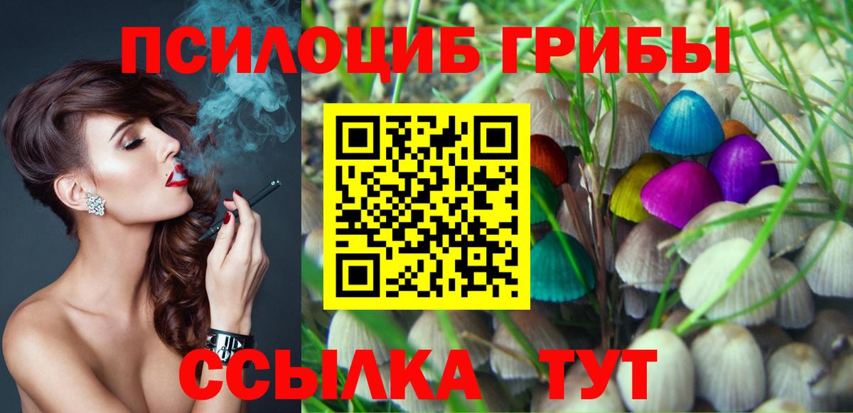 Ноябрьск  Псилоцибиновые грибы ЛСД  Вход с VPN 
