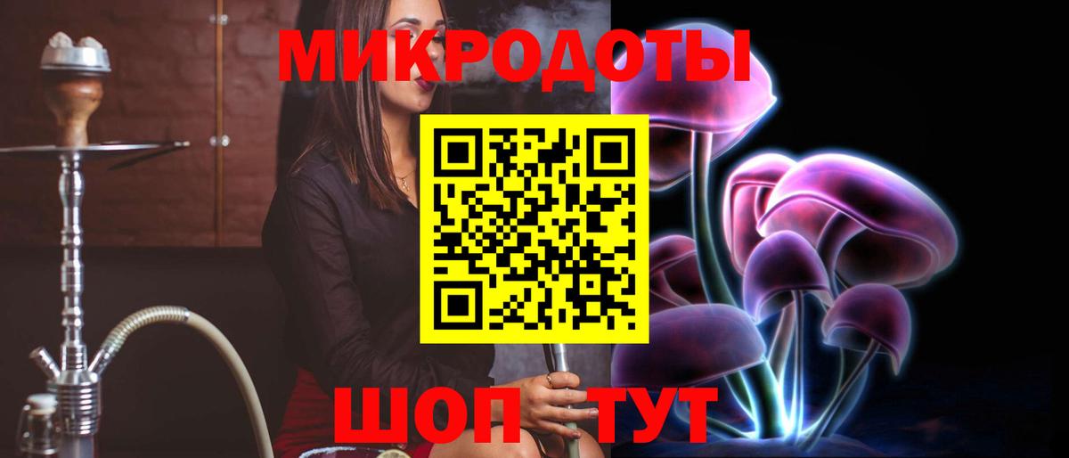 Псилоцибиновые грибы Psilocybine cubensis Ноябрьск